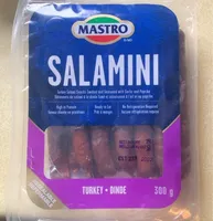 Salamini