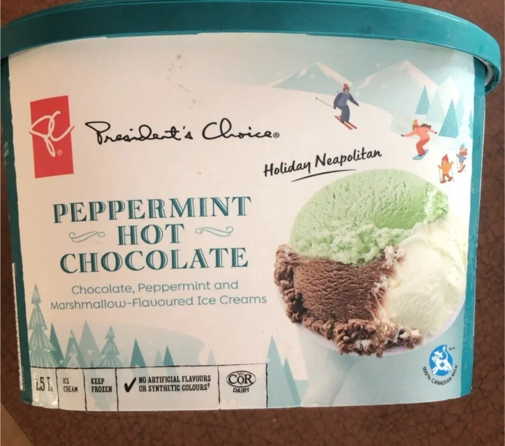 Peppermint Hot Chocolate Ice Cream