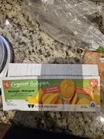 Mango Strained Baby Food