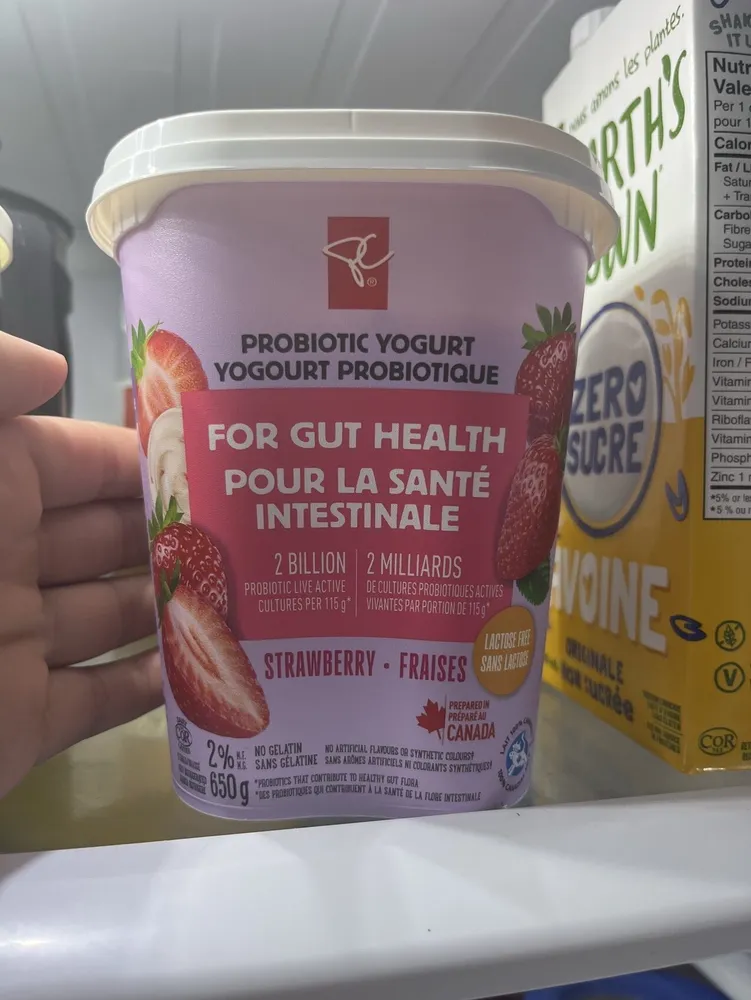 PROBIOTIC YOGURT