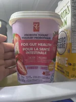 PROBIOTIC YOGURT