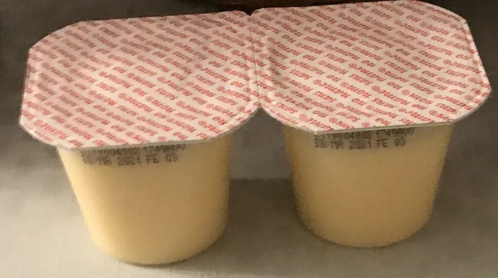 Vanilla Pudding