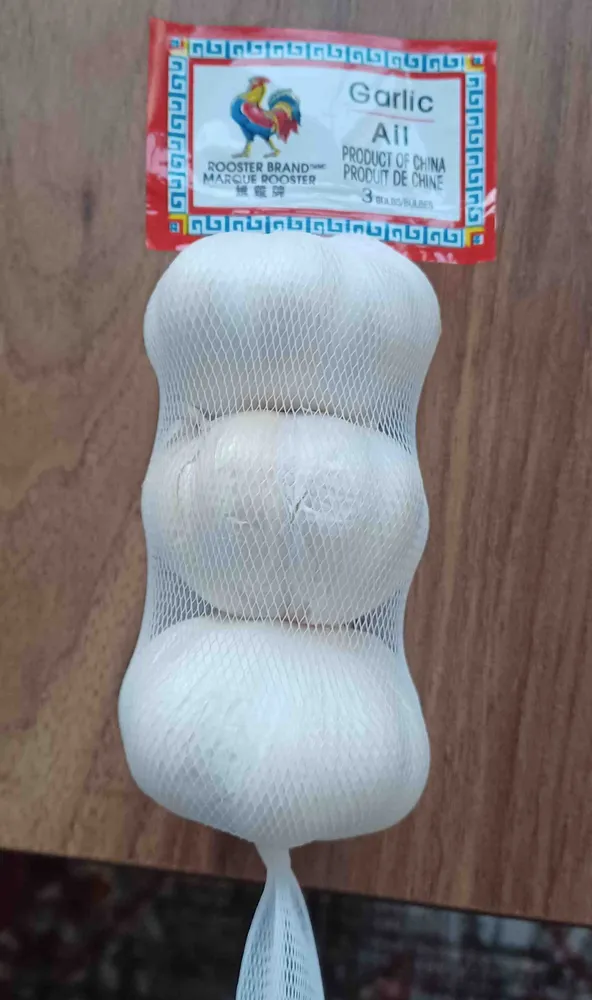 Fresh Garlic
