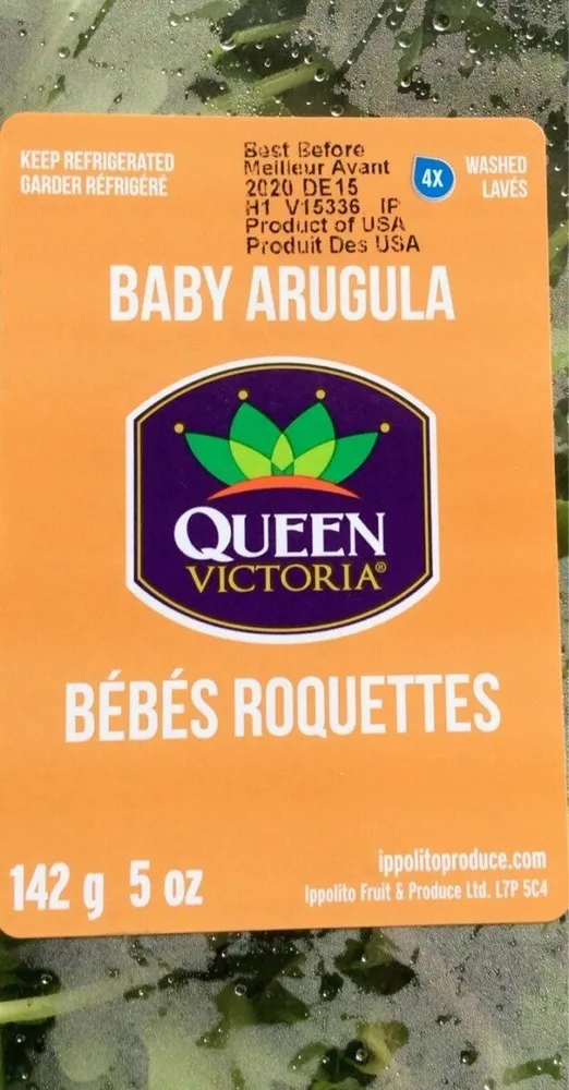 Bébés Roquettes