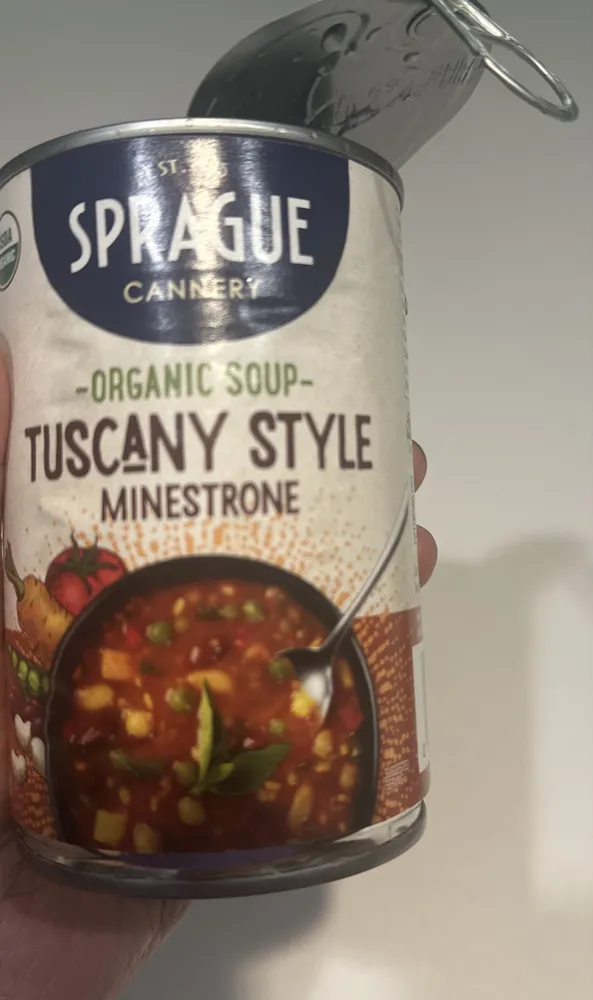 Tuscany Style Minestrone organic soup