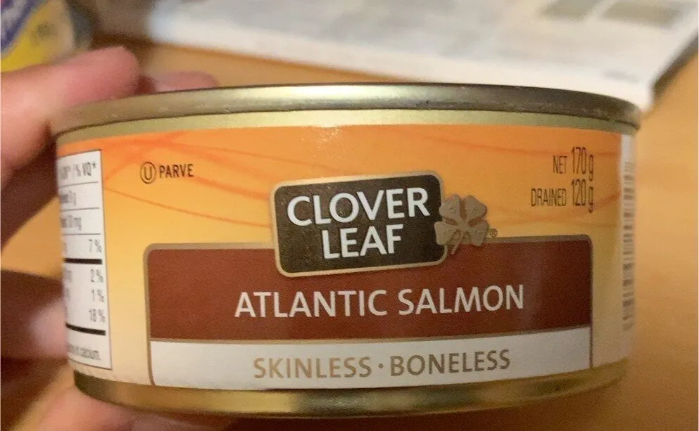 Atlantic salmon