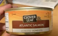 Atlantic salmon