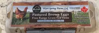 pastured raised brown eggs