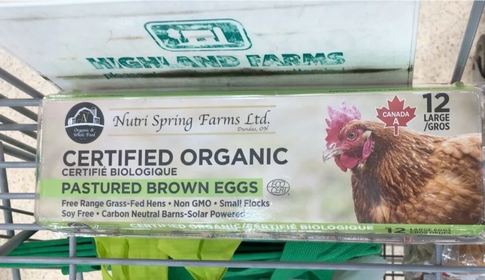 Pastured Egg