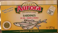 Sardine dans l'huile