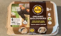Oeufs bruns biologiques