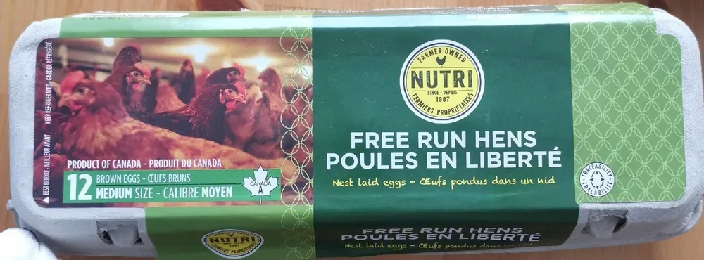 Poules en liberté