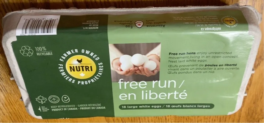 Oeufs de poule en liberté