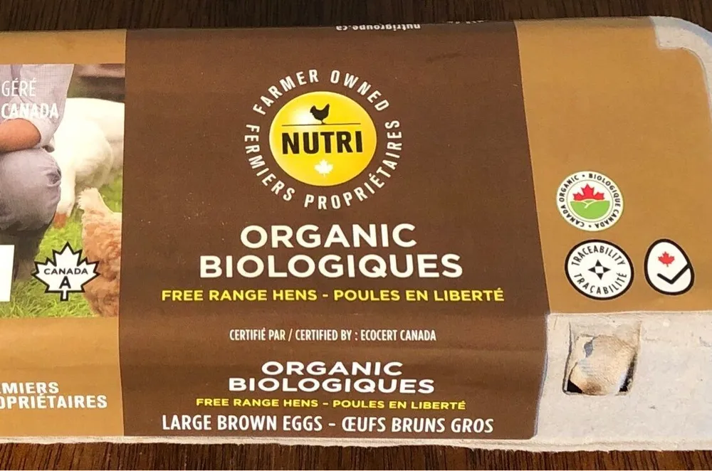 12 Large Organic Free-Range Eggs, brown