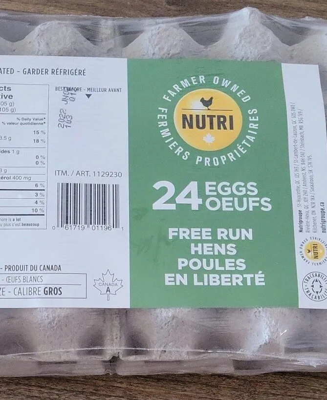 24 Large Free-Run Eggs