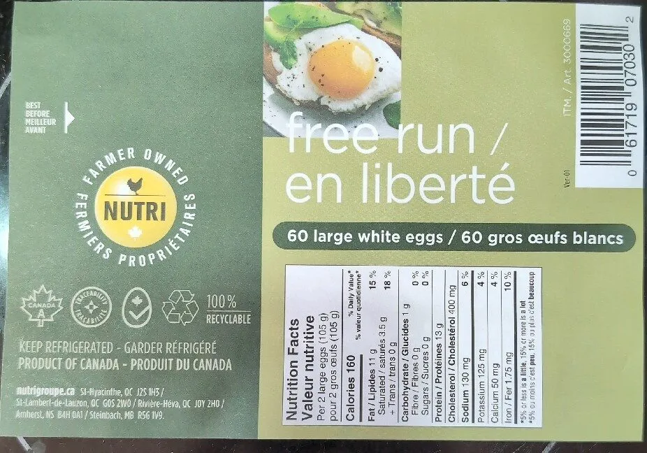 Large Egg