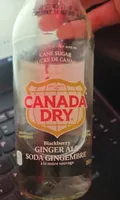 Blackberry Ginger Ale