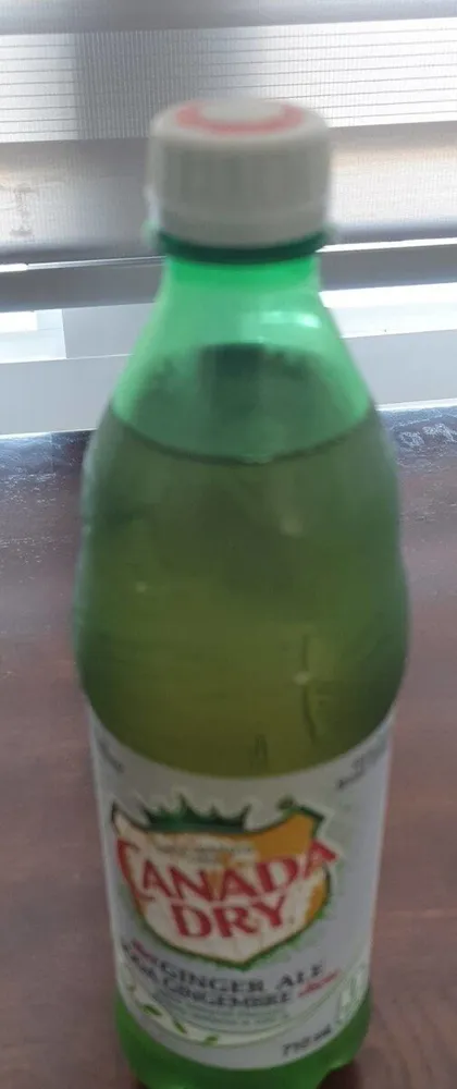 diet Ginger Ale