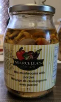 Mélange de champignons avec porcini