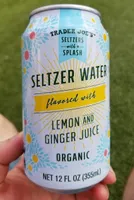 Seltzer Water flavored with Lemon and Ginger Juice Organic