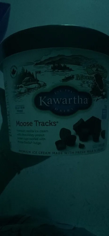 Moose Tracks