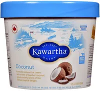 Coconut Ice Cream