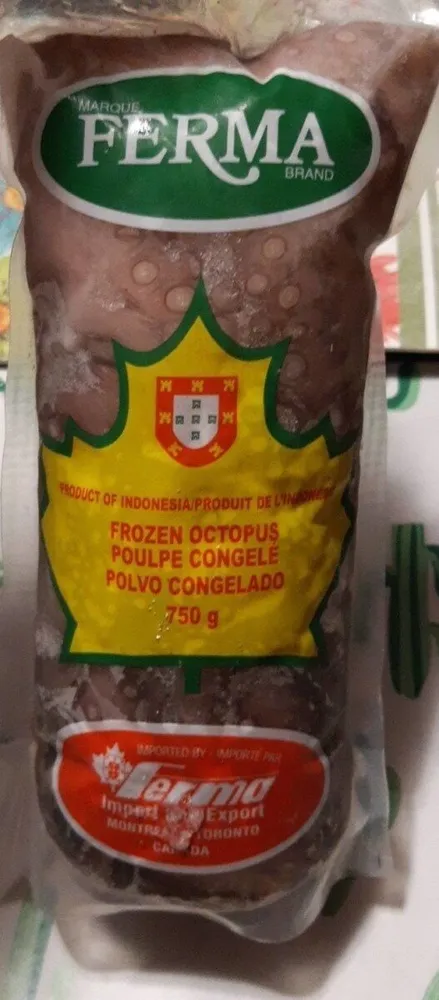 Frozen Octopus