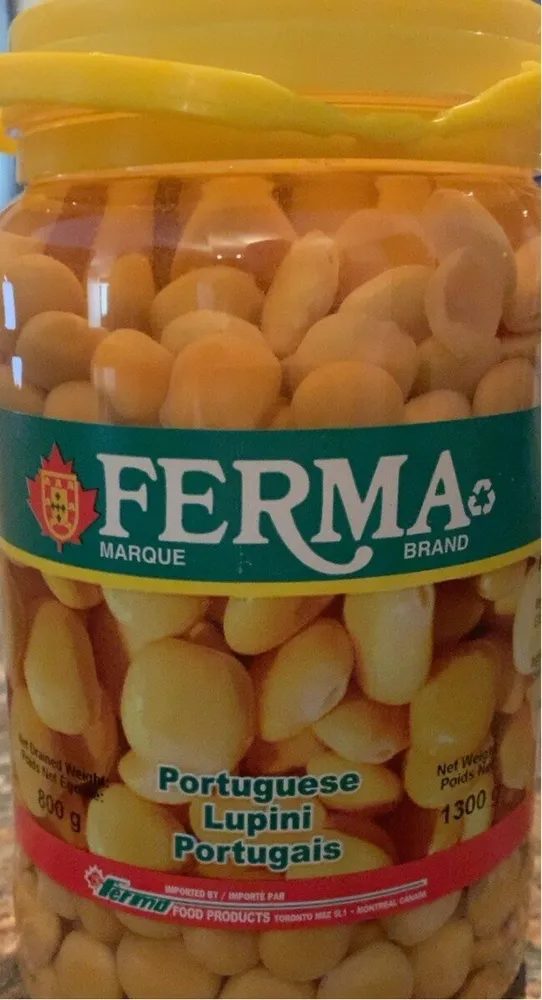 Lupini Portugais