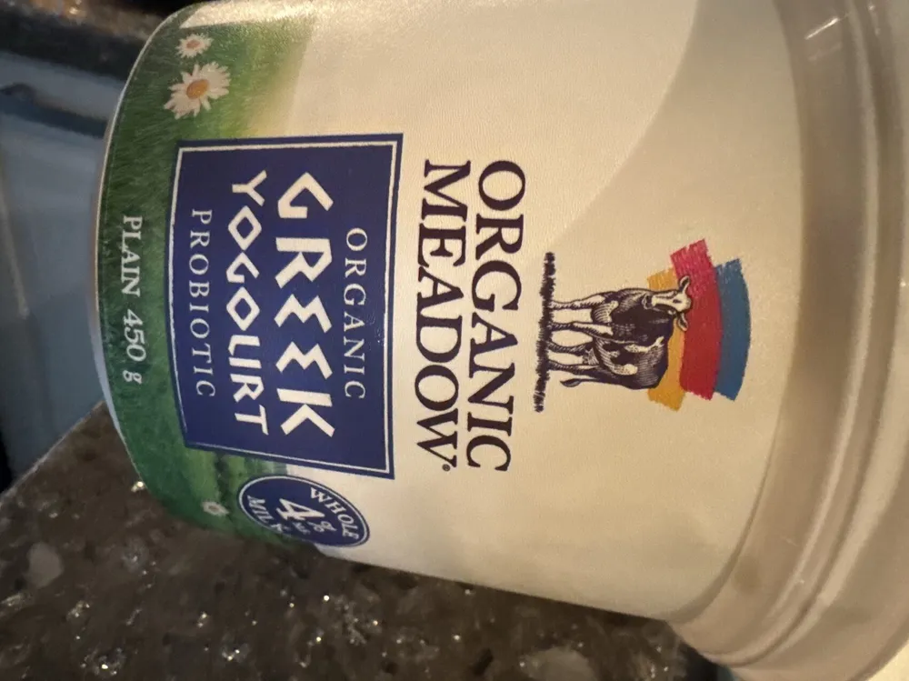 Organic greek yogurt probiotic