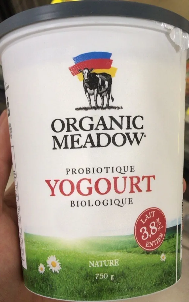 Yogourt
