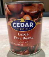 Large Fava Beans