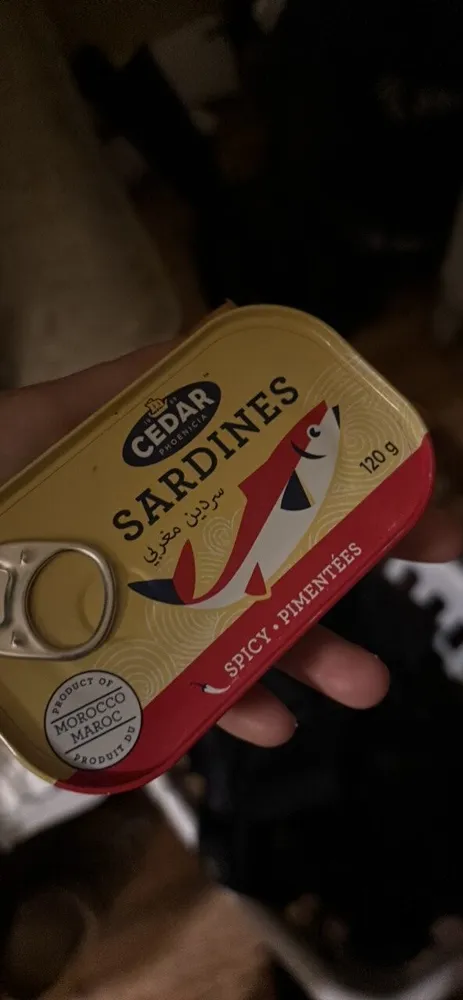 Sardines