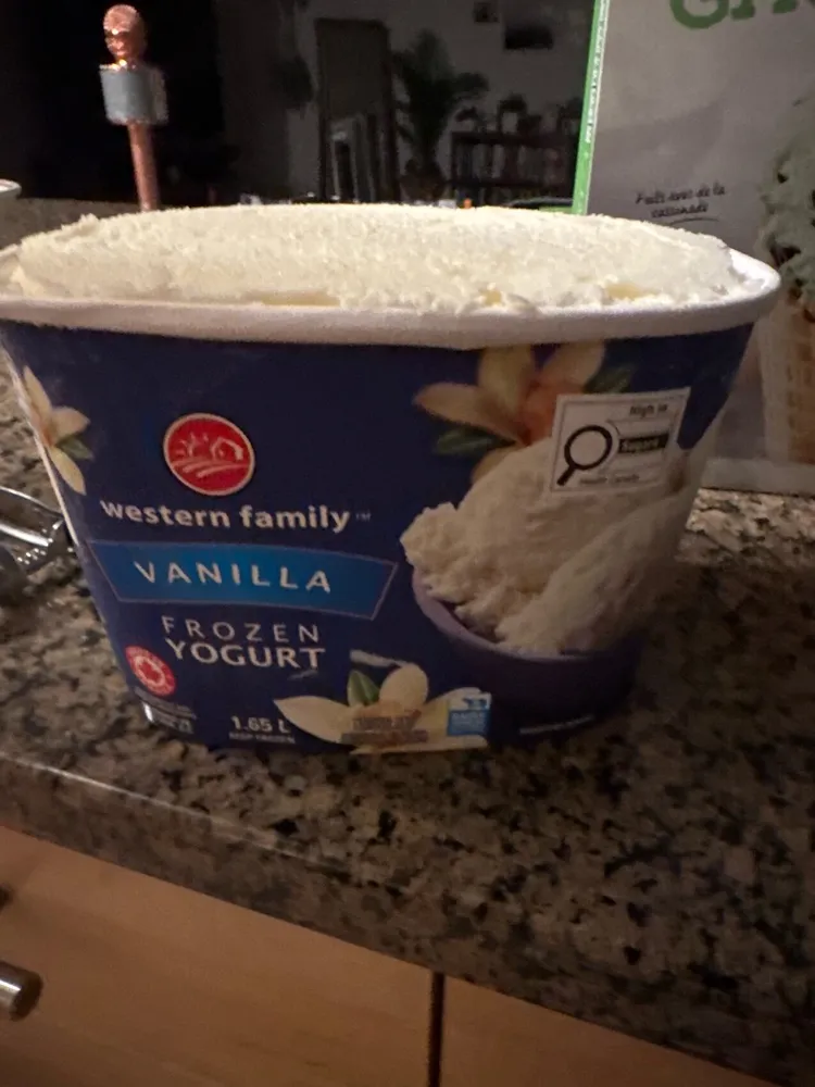 Vanilla Frozen Yogurt