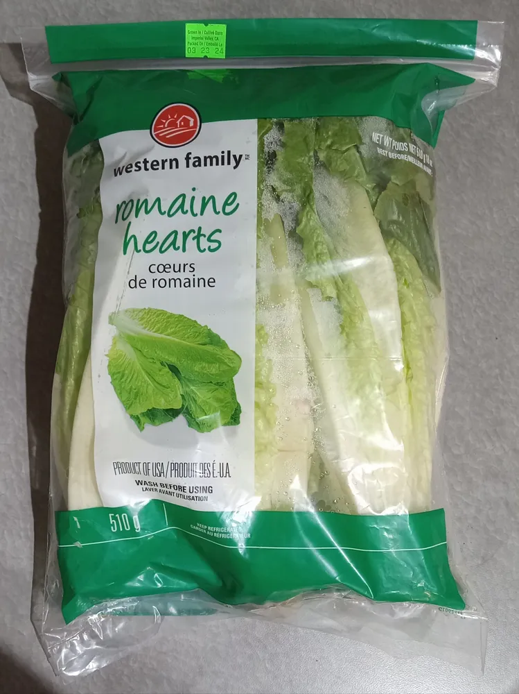 Romaine Hearts