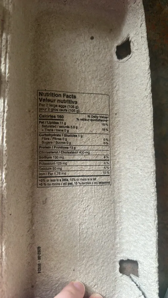Free run large size brown eggs western family