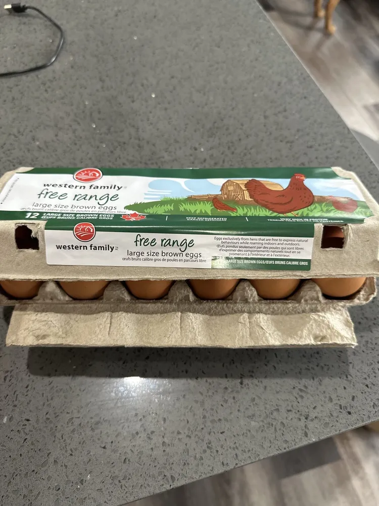 Free Range Large Size Brown Eggs