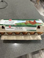 Free Range Large Size Brown Eggs