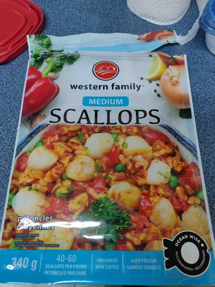 Frozen Scallops Medium