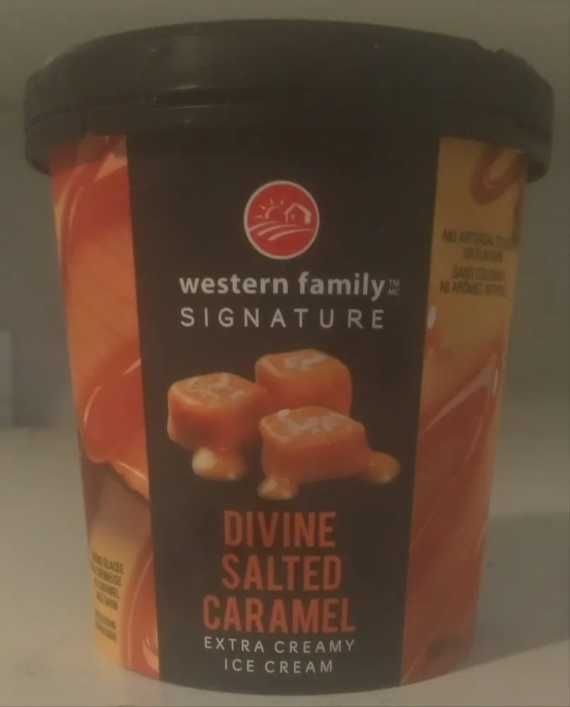 Divine Salted Caramel Extra Creamy Ice Cream