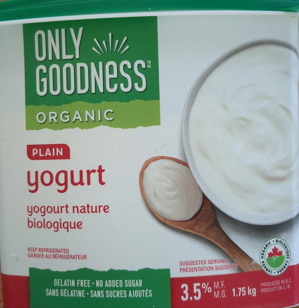 Organic Plain Yogurt 3.5%
