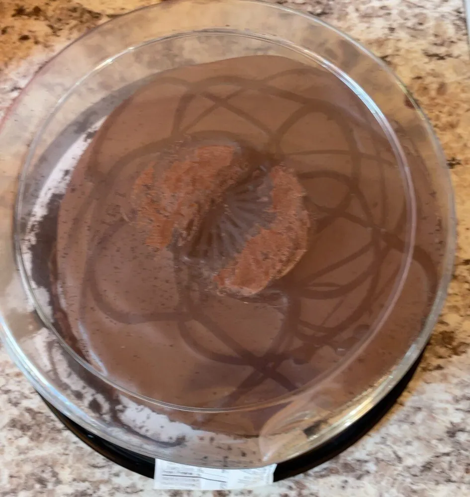 Chocolate truffle cake