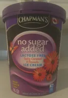 No Sugar Added Salty Caramel & Peanuts Lactose Free Ice Cream