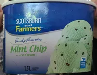Family favorites mint chip ice cream