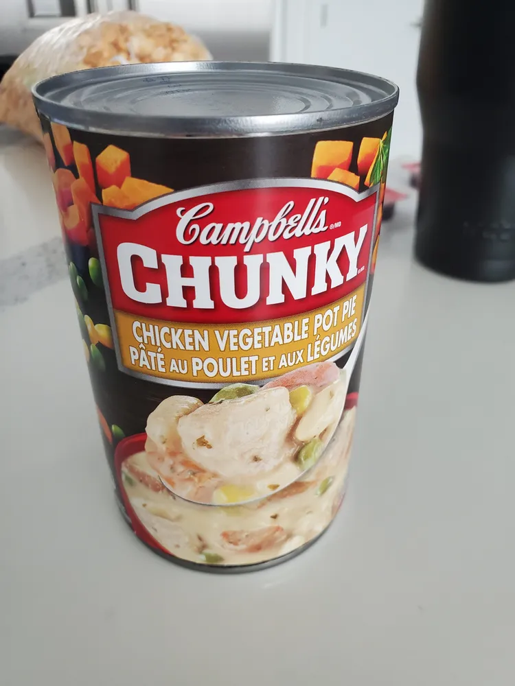 Chicken Vegetable Pot Pie