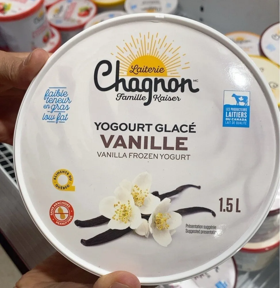 Yahourt glace vanille