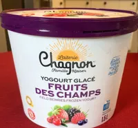 Yogourt glacé aux fruits des champs