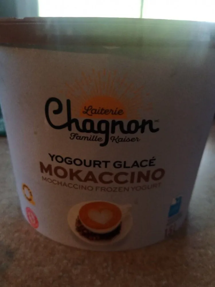 Yogourt glacé