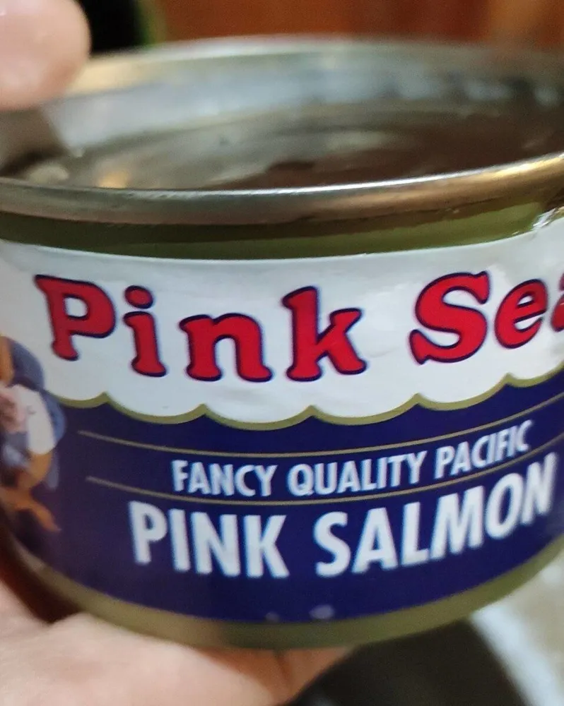 Pink Salmon salmone rosa