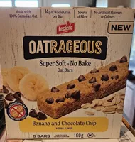 Outrageous Oat Bars