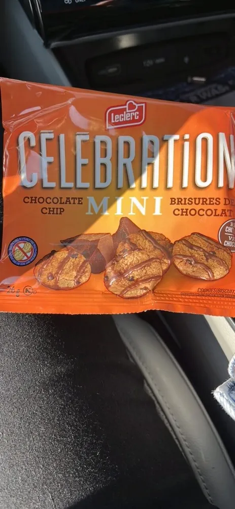 Chocolate Chip Mini
